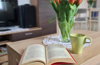 Rodzinny Apartament na Kaszubach - Foto 11