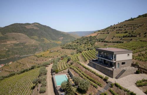 Feel Discovery Alvim's Douro - Foto 1