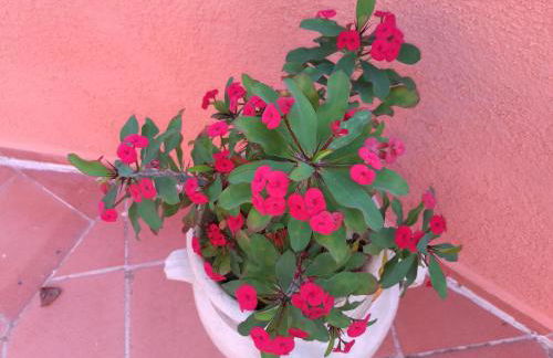 Country House Vignola Mare - Photo 28