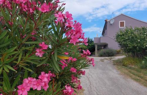 Apartment Bellavista - Foto 30