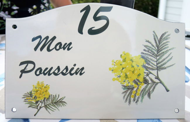 Mon Poussin - Photo 15