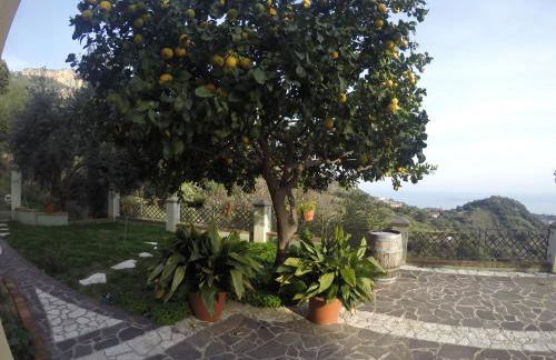 Appartamenti Con Vista Panoramica - Foto 36