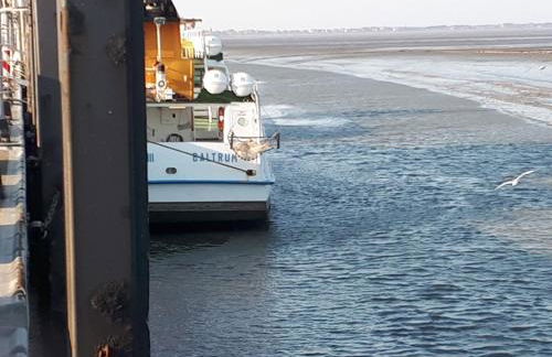 Top EG Rollstuhlwohnung 80qm zum Frühjahr- und Sommerpreis - Photo 15