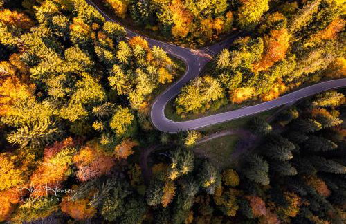 Altes Forsthaus - Fewo "Wiesental", privater "Spa" mit Sauna, Wanne und Relaxliegen, Todtnau - Foto 3