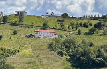 Cascina Canelli - Foto 47