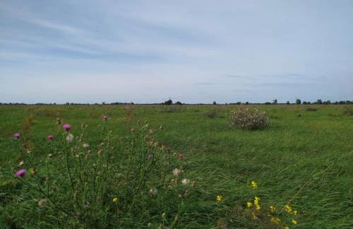 Forsthaus Nicolai - Foto 71