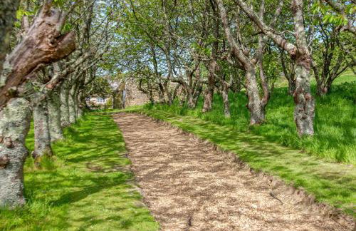 Mistle Roundhouse - Ukc6943 - Foto 13