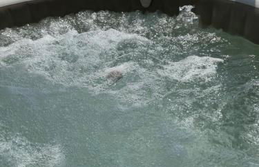 Ferienhaus Ankinchen - Foto 11