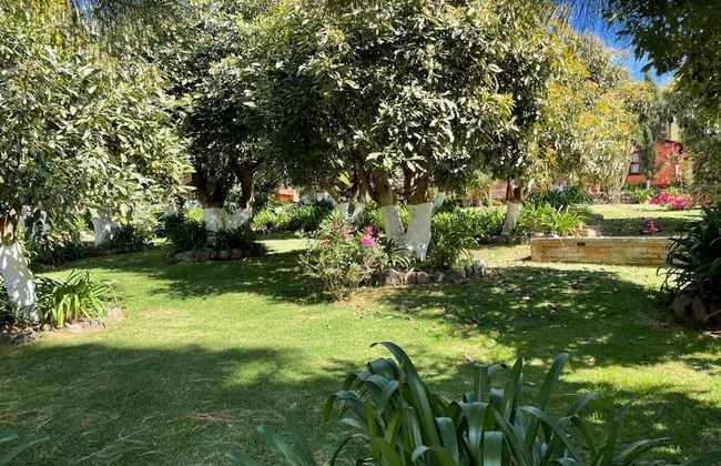 Cabañas La Huerta - Foto 15