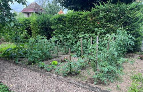 Maison Chez Marinette - Photo 35