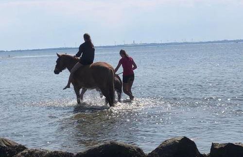 Landhaus Kopendorf - Foto 18