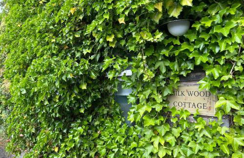 Milkwood Cottage - Photo 7