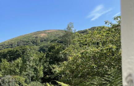 West Lynch Farm Allerford - Photo 11