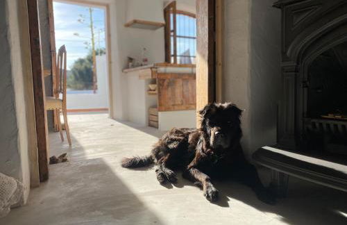 Villa Mi Marino - Foto 17