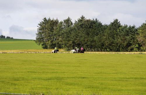 Woodland Lodge - Foto 16