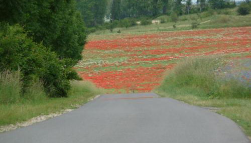 Villa Lea Lee - Foto 3