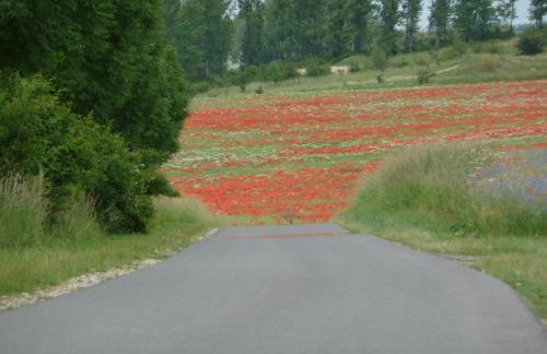 Villa Lea Lee - Foto 3