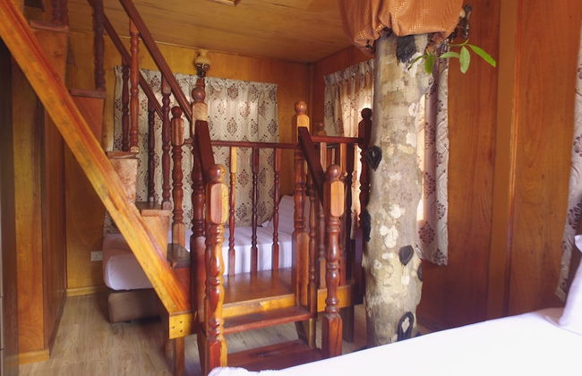 Borneo Tree House - Foto 11
