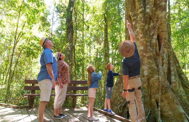 Lamington National Park, O’Reilly’s Rainforest und Canungra Valley Vineyard – Tagestour - Foto 7