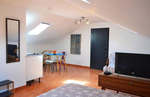 Lazy Lizard Studio - Foto 64