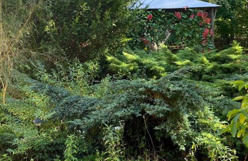 Agroturystyka Staroscin - Foto 6