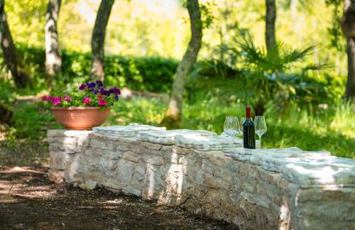 Palmira Apartments - Foto 49