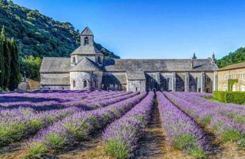 La Bastide - Le Grenache - Le Syrah au Domaine Chateau Henri Bonnaud - Foto 39