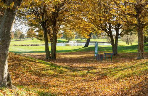 Il Vivaio di Villa Grimani Morosini - Foto 24