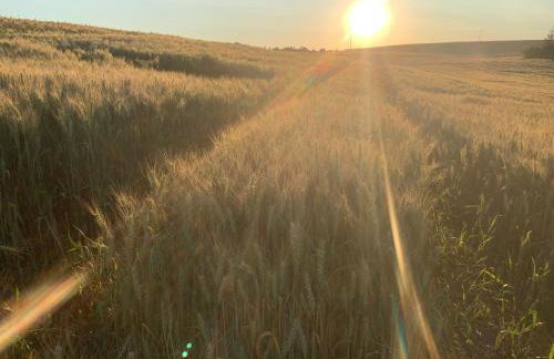 Toskania Kociewska - Photo 33