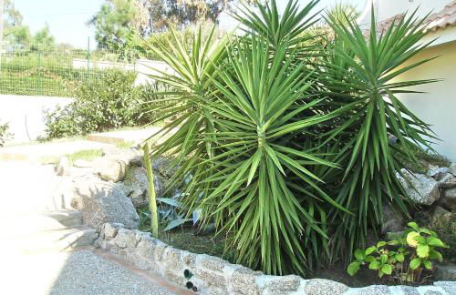 Residenza Marinella - Foto 32