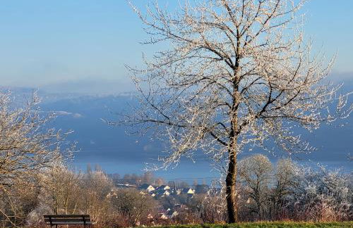 Ferienwohnung Ankerplatz Wangen - Foto 29
