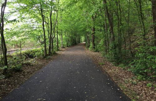 "Le petit Moulinsard" - Foto 23