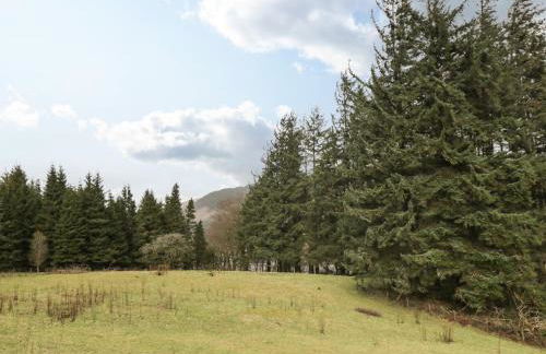 The Lodge - Photo 26