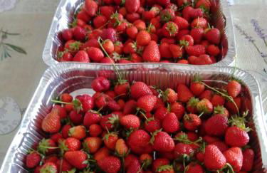 Agriturismo Caruggiu di via vecchia - Foto 35