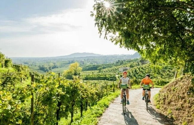 GOLDEN SPUR COTTAGE - Photo 16