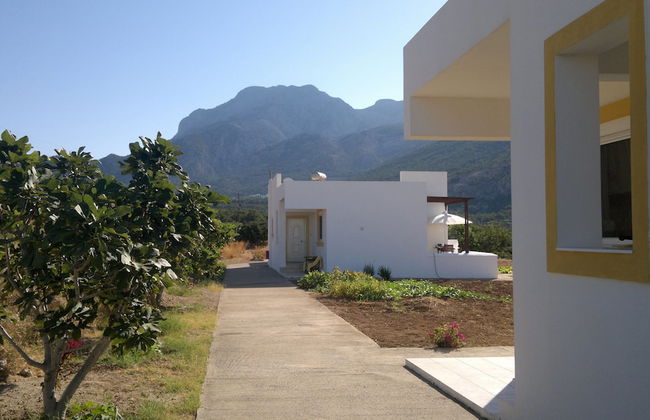 Dream Villas - Foto 17