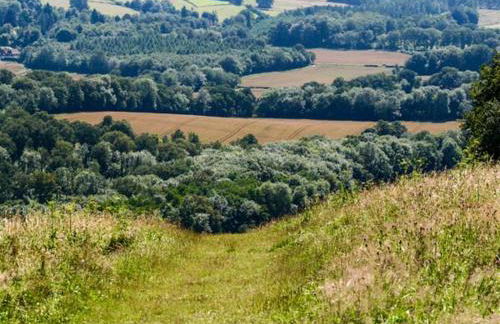 Woodhill Cottage - Foto 24