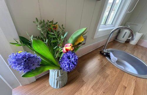 Whitethorn Shepherds Hut - Foto 6