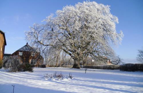 Kastanienhof - Foto 41