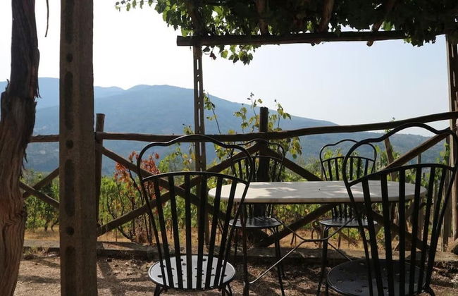 Agriturismo Poggio di Montepescoli - L'aia - Foto 24