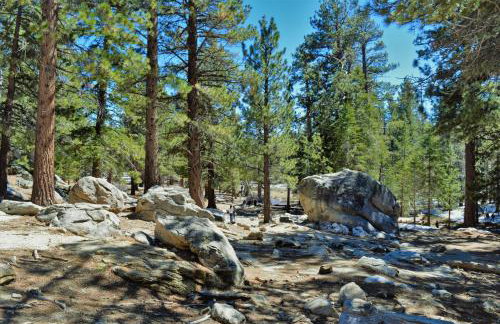 Villa Thornhill - Foto 30