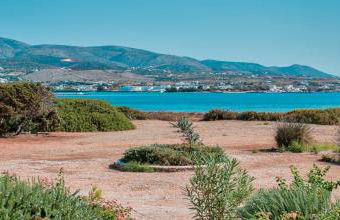 Glaros Studios Apartments - Foto 41