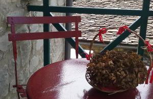 Xenonas Zagorisio - Photo 68