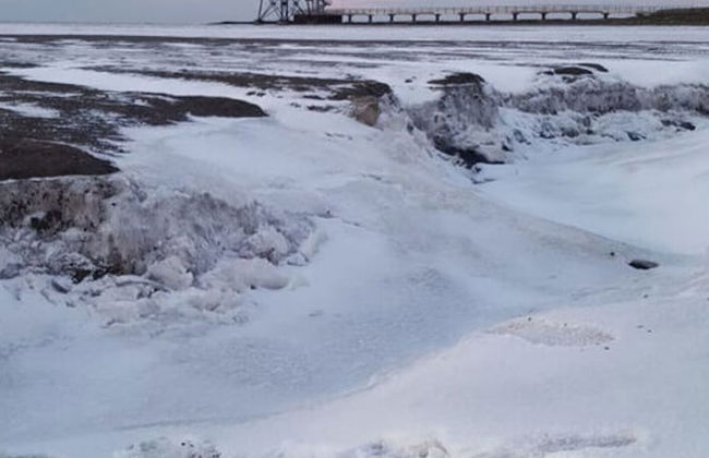 SEA Time Modern Retreat - Photo 19