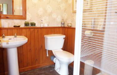 Arllen Fawr - Foto 15