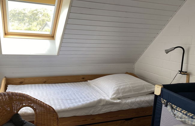 Ostseestern - Foto 7