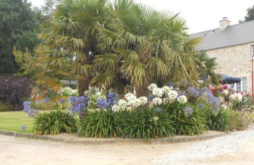 Maison Brix - Foto 7