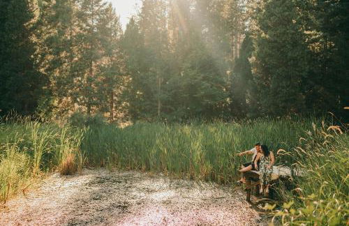 Orchard House! Recharge at Peaceful Nature Escape - Foto 19