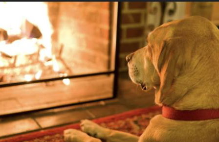 ISLE OF GIGHA FARM HOUSE - Foto 59