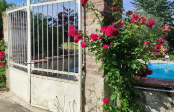 UN AIR DE VACANCES - Foto 5